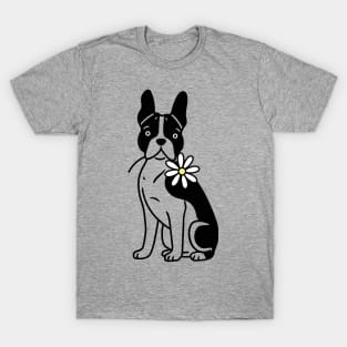 Boston Terrier T-Shirt